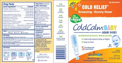 Coldcalm Baby Etu.1g3n 08.2020